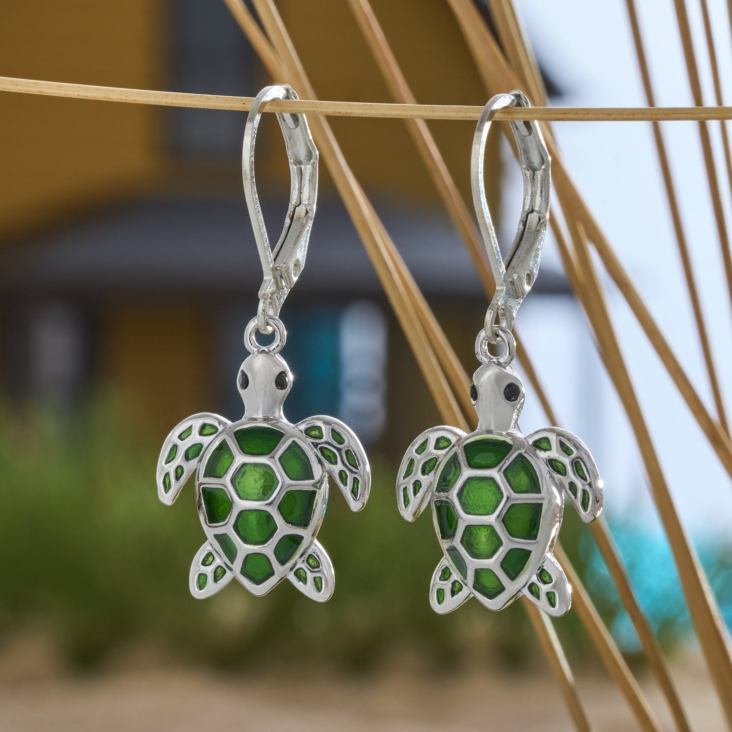 Olive Sea Turtle Gift Set (Leverbacks)