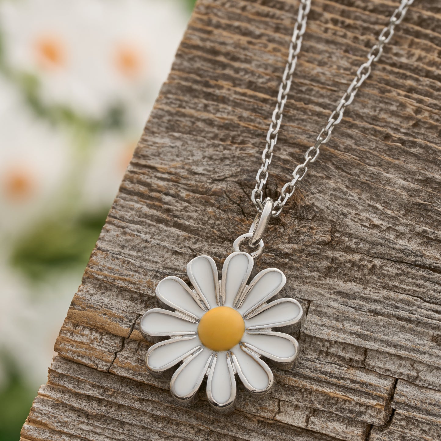 White Daisy Gift Set