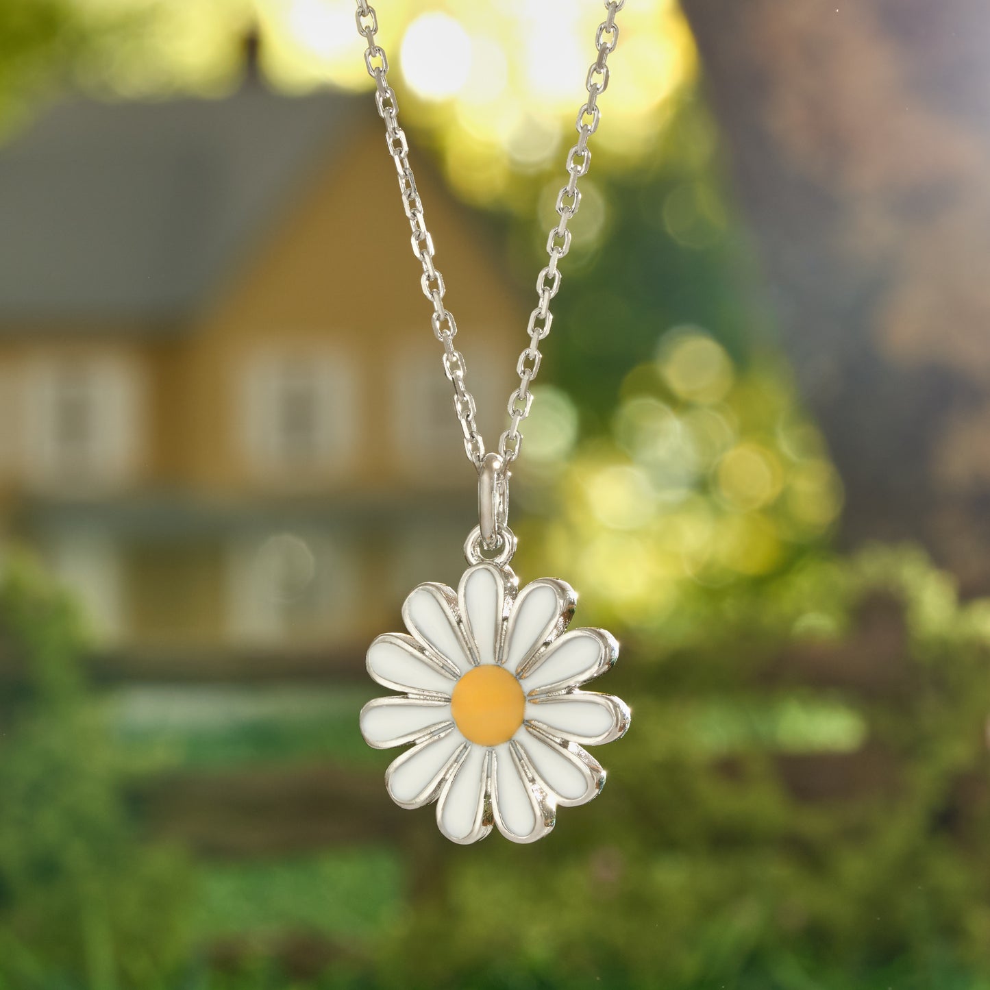 White Daisy Gift Set