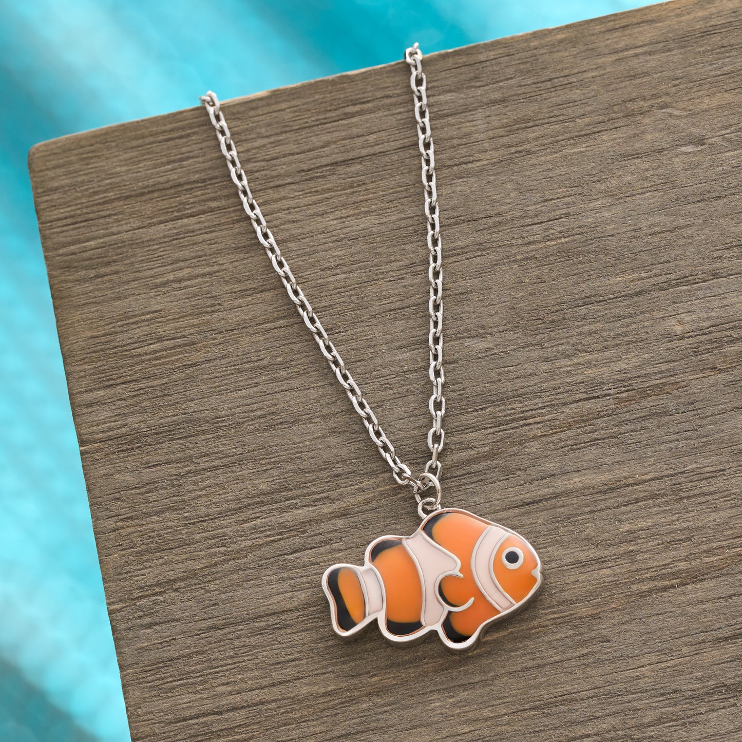 Clownfish Gift Set