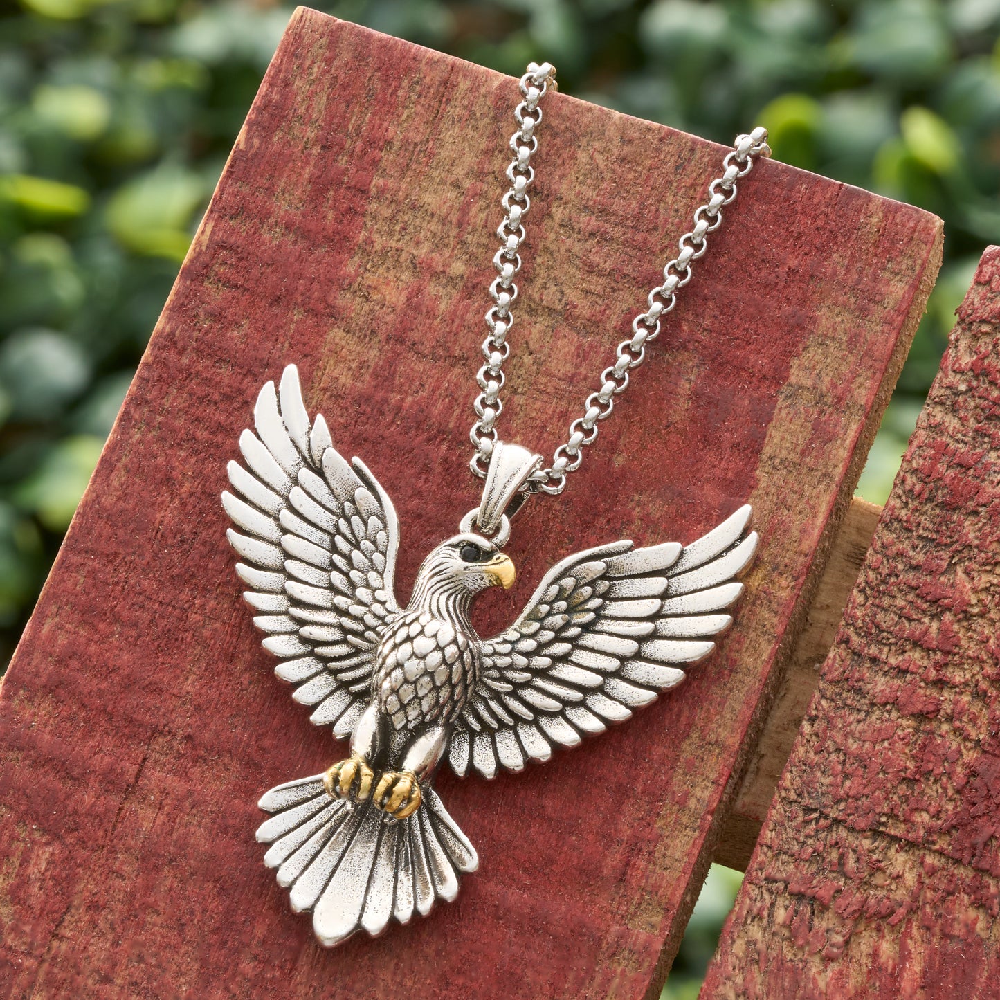 Soaring Bald Eagle Gift Set
