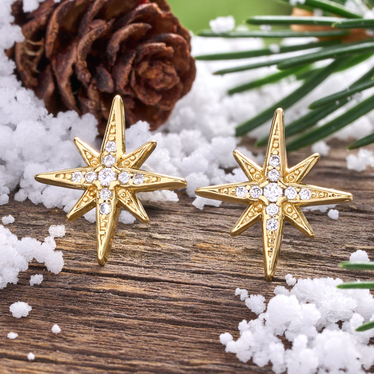 Dainty Gold Crystal North Star Gift Set (Studs)