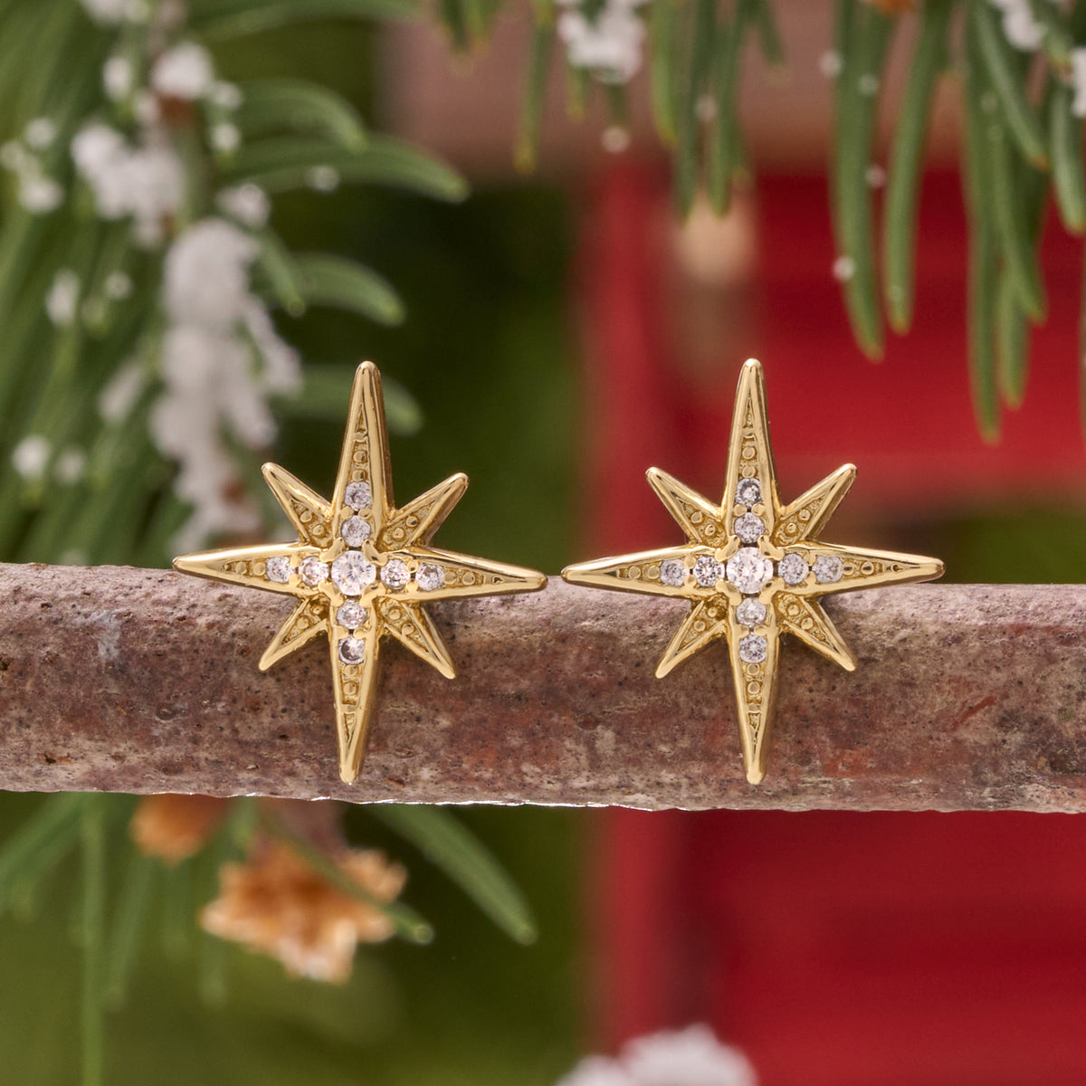 Dainty Gold Crystal North Star Gift Set (Studs)