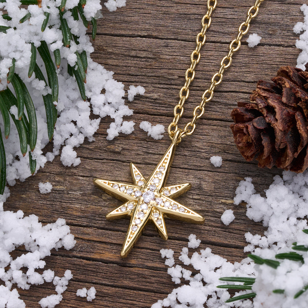 Dainty Gold Crystal North Star Necklace