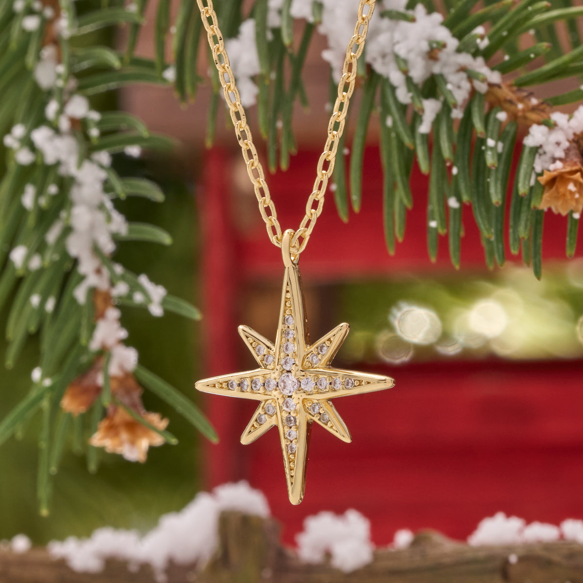 Dainty Gold Crystal North Star Necklace