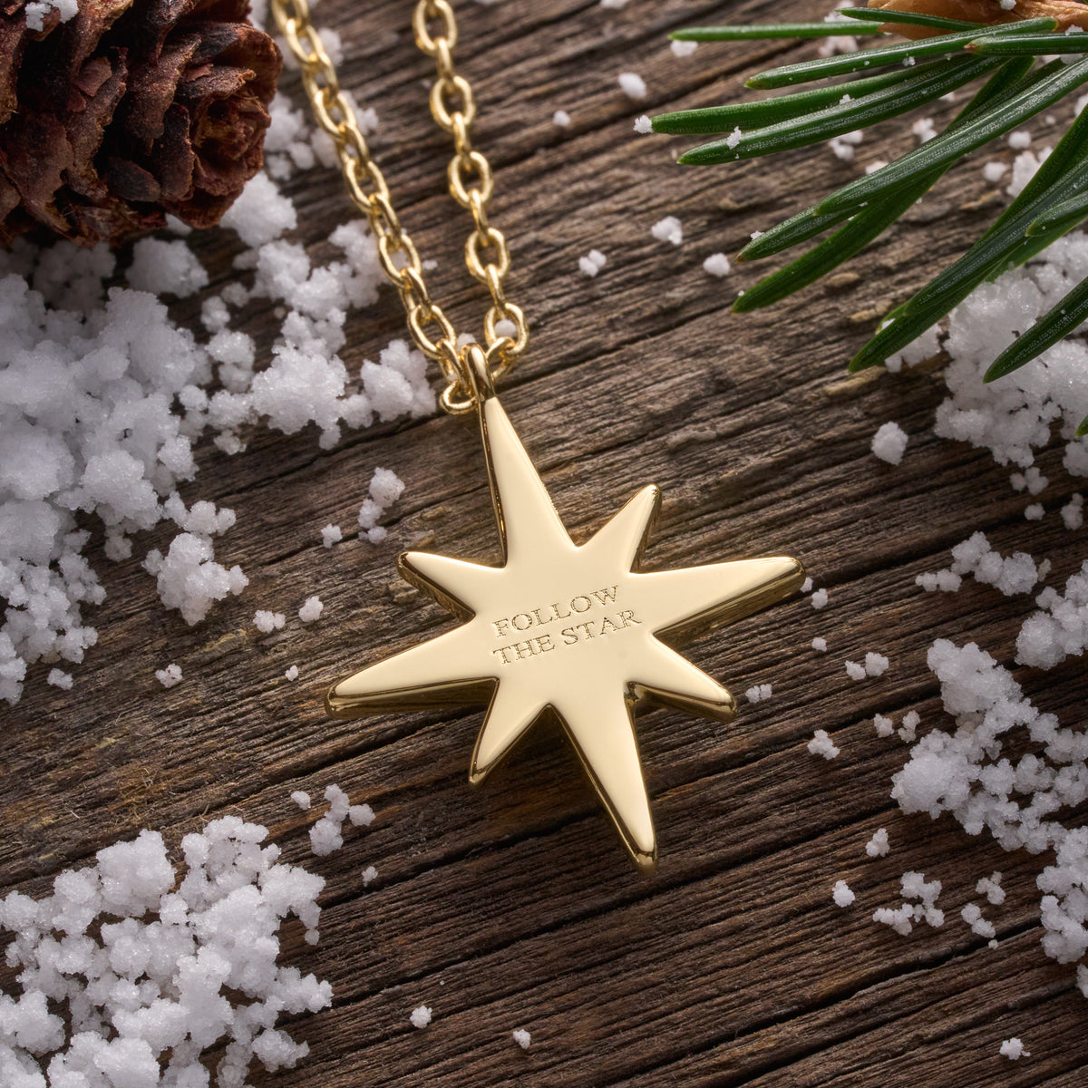 Dainty Gold Crystal North Star Necklace