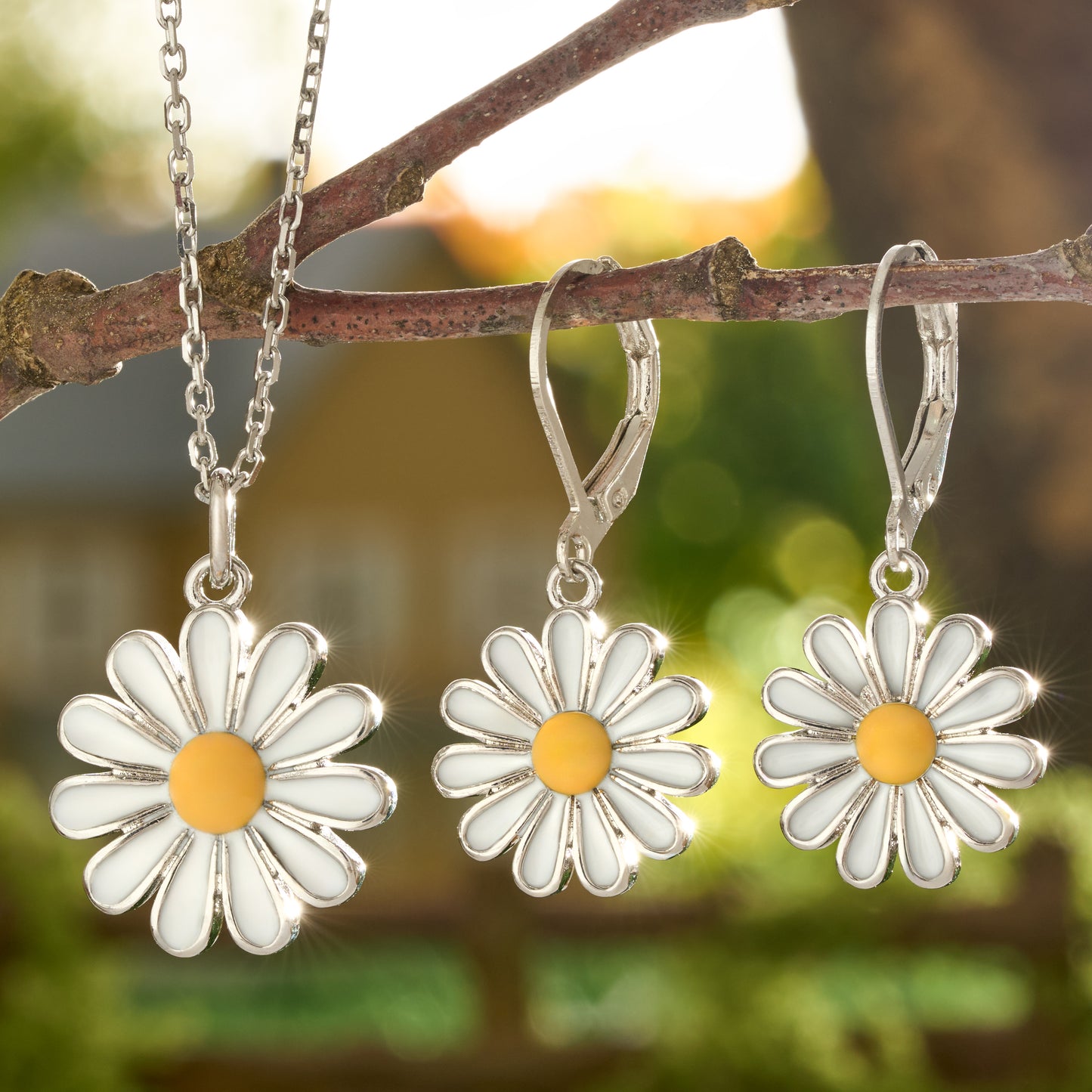 White Daisy Gift Set