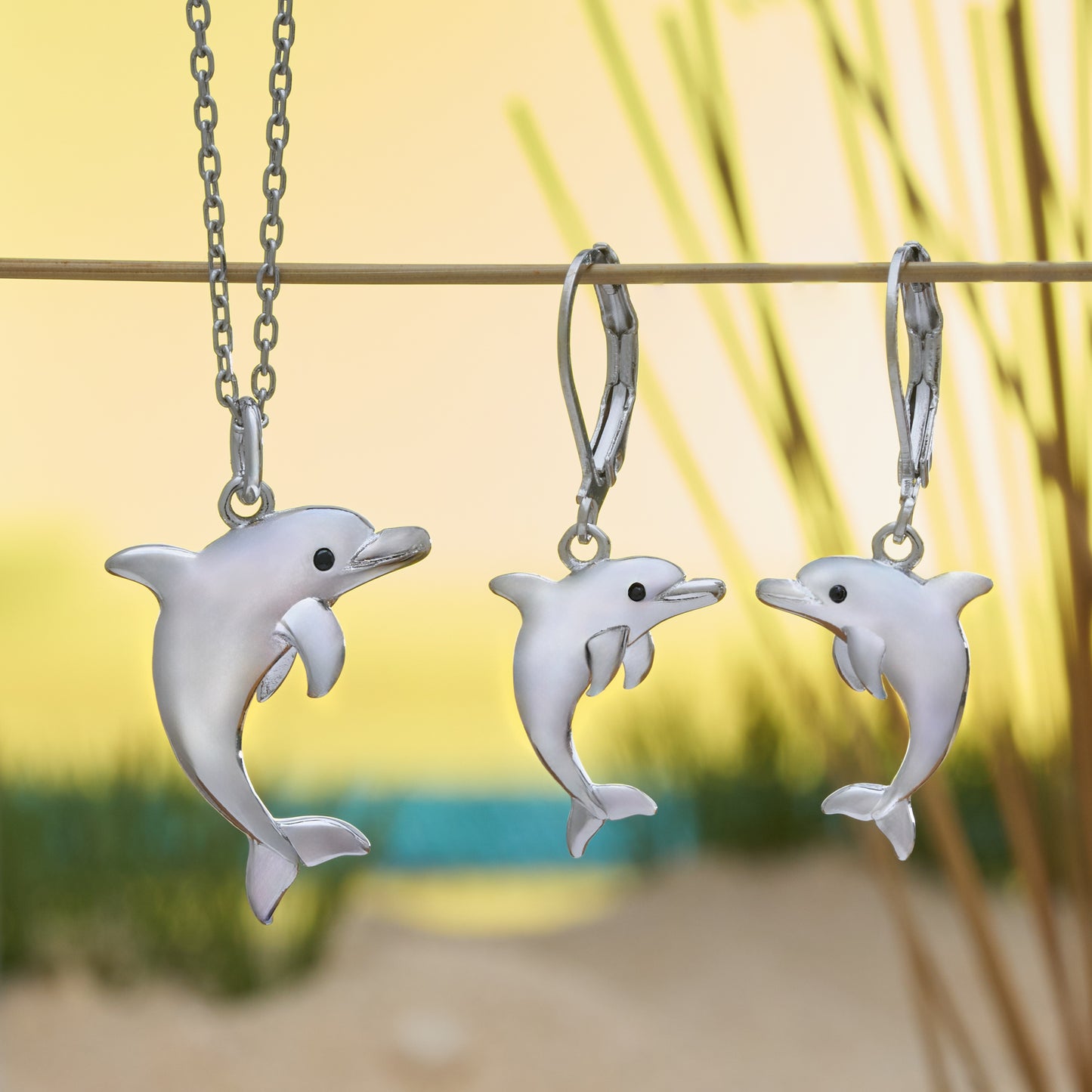 Dolphin Gift Set