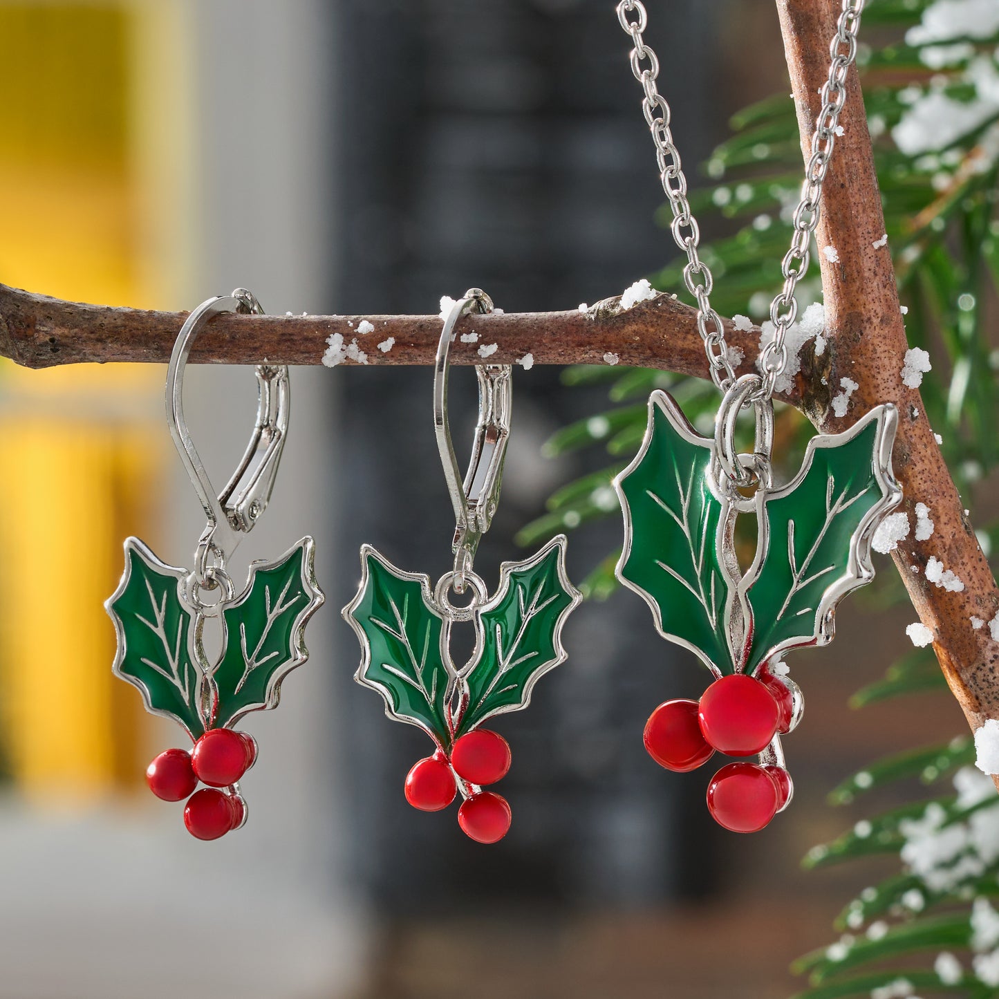 Enamel Holly Berry Gift Set