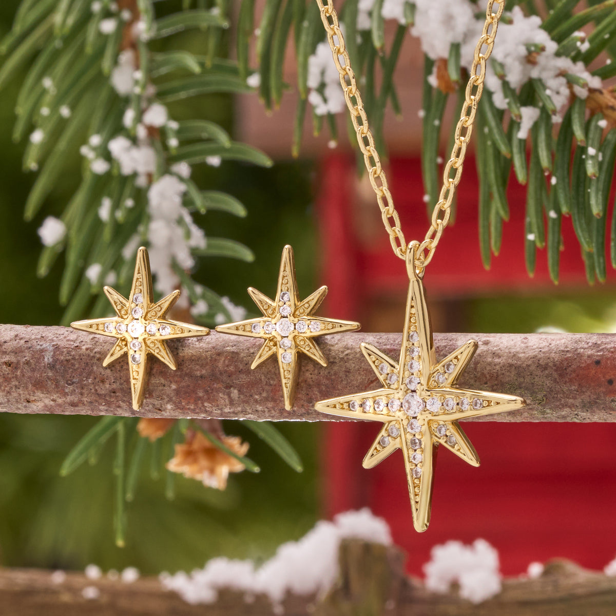 Dainty Gold Crystal North Star Gift Set (Studs)