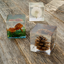 Load image into Gallery viewer, Paperweight Gift Set