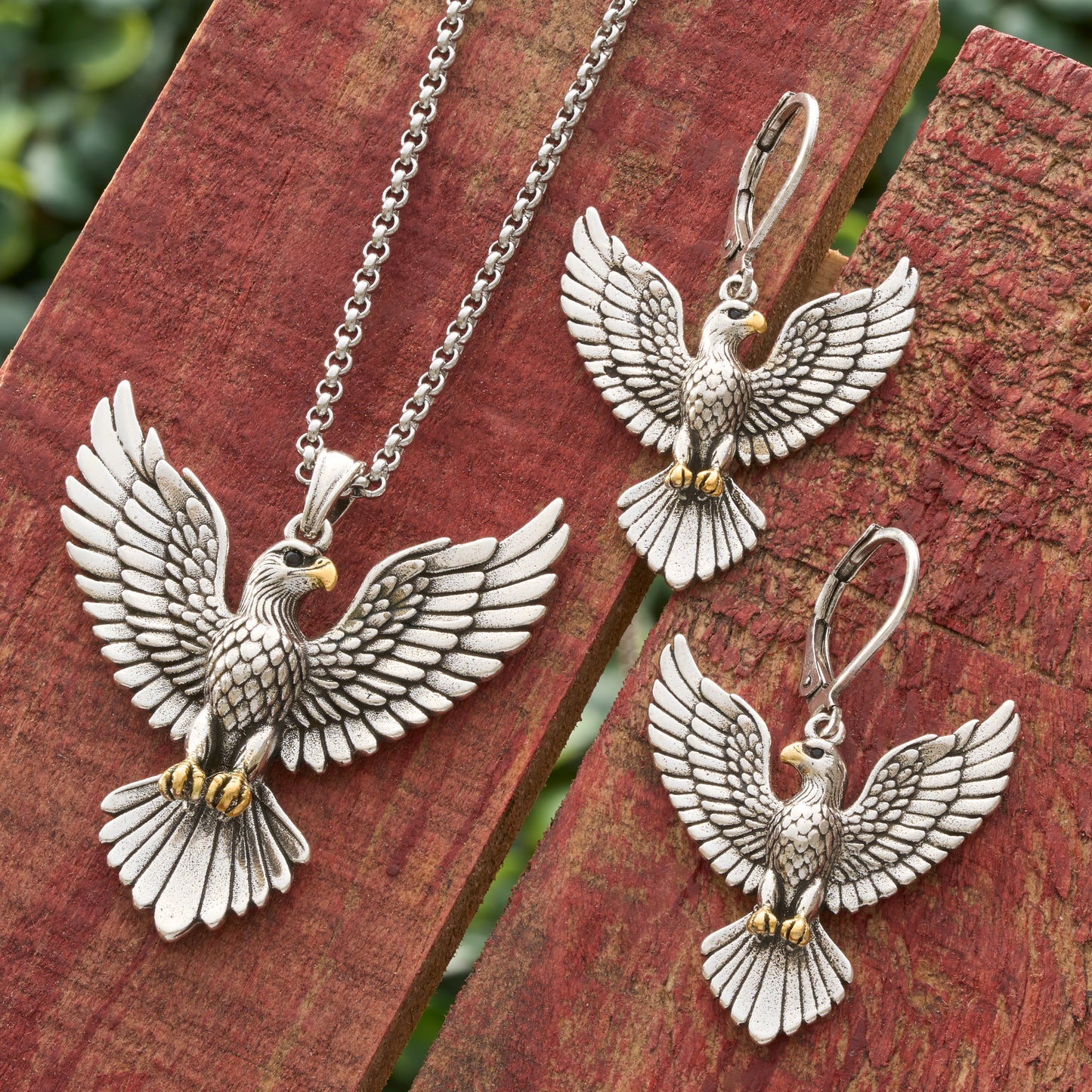 Soaring Bald Eagle Gift Set