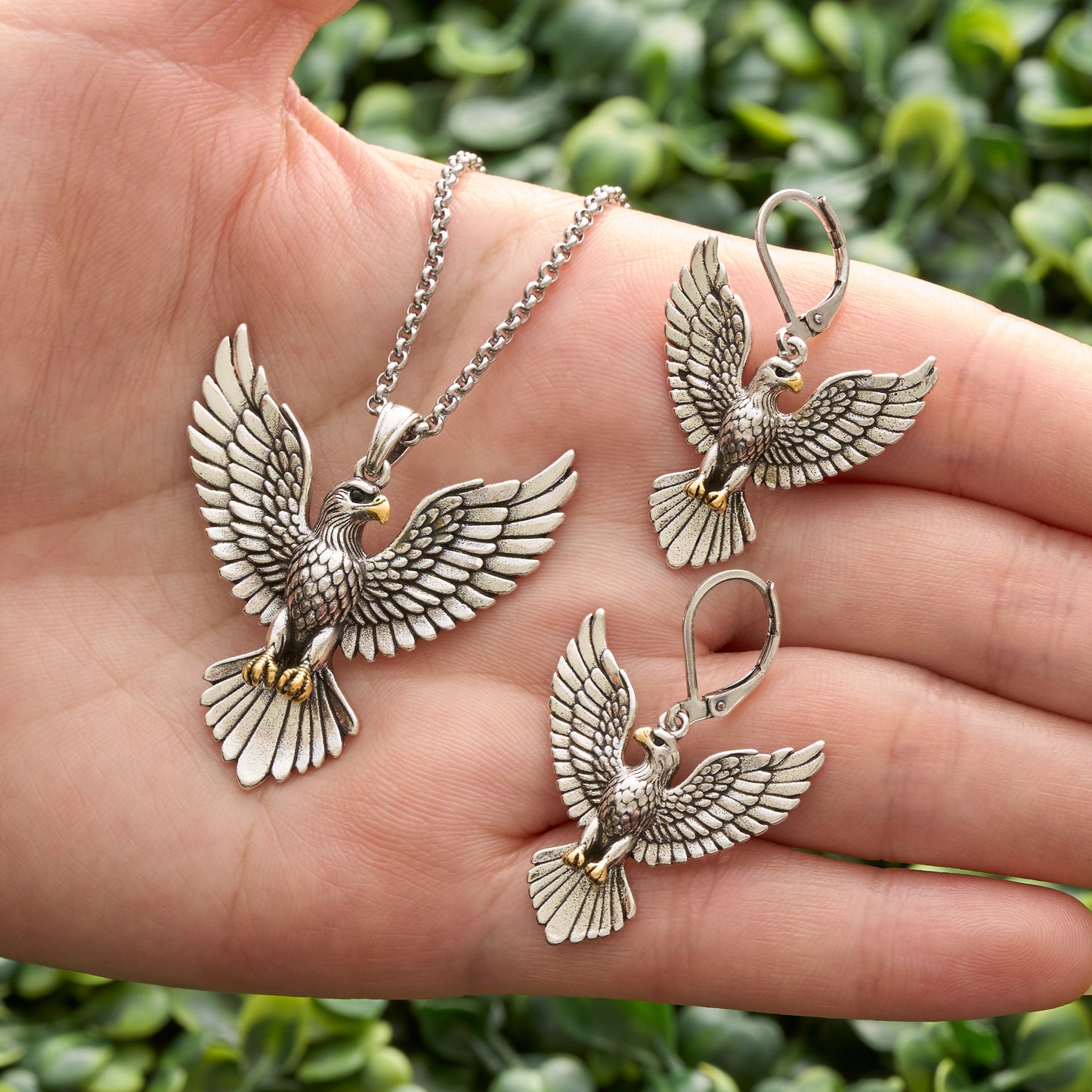 Soaring Bald Eagle Gift Set