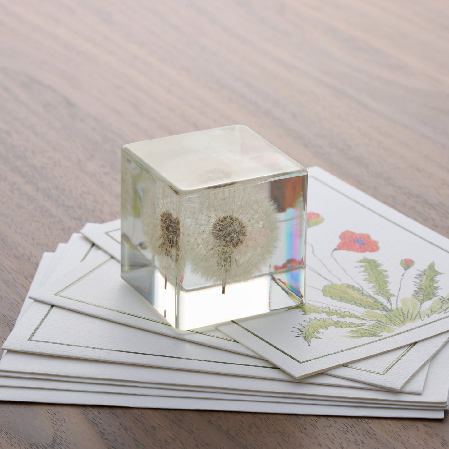 Dandelion Paperweight