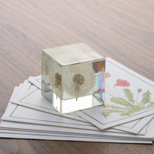 Load image into Gallery viewer, Dandelion Paperweight