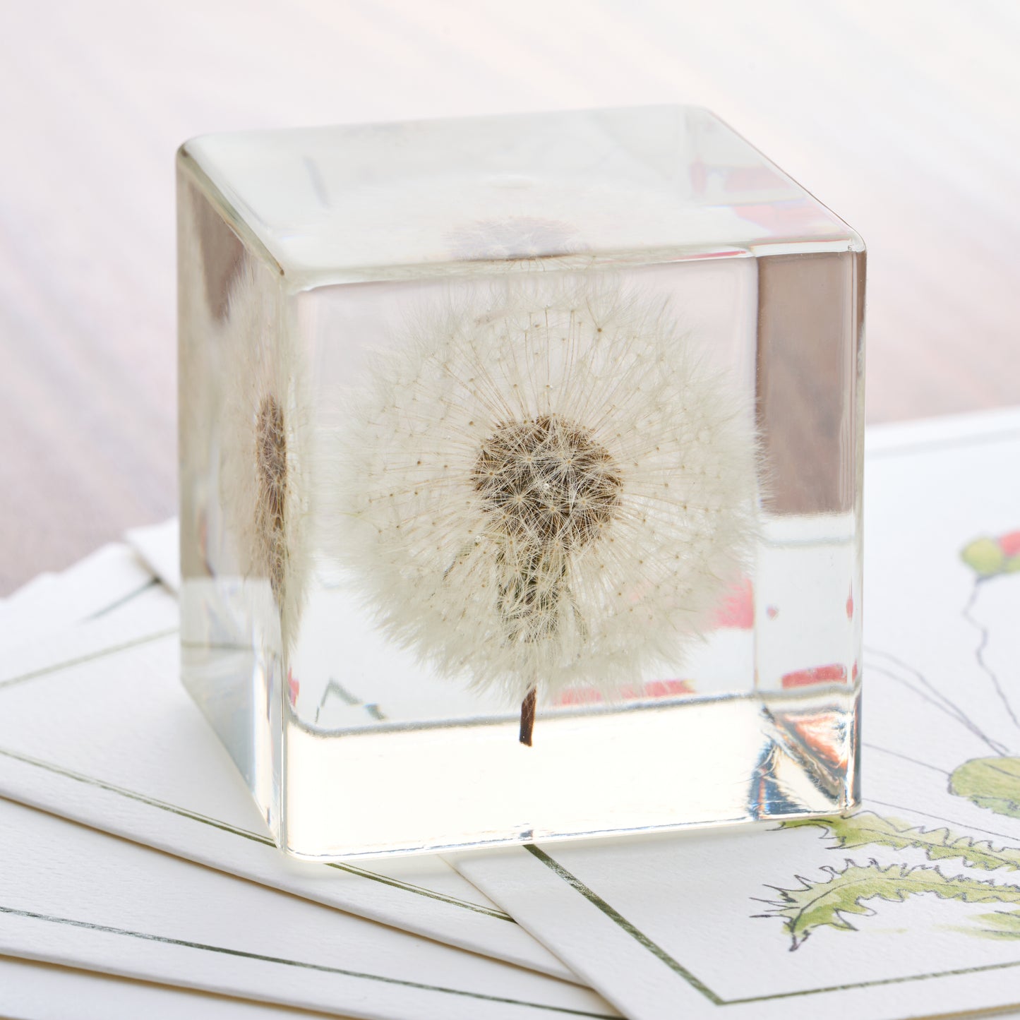 Dandelion Paperweight