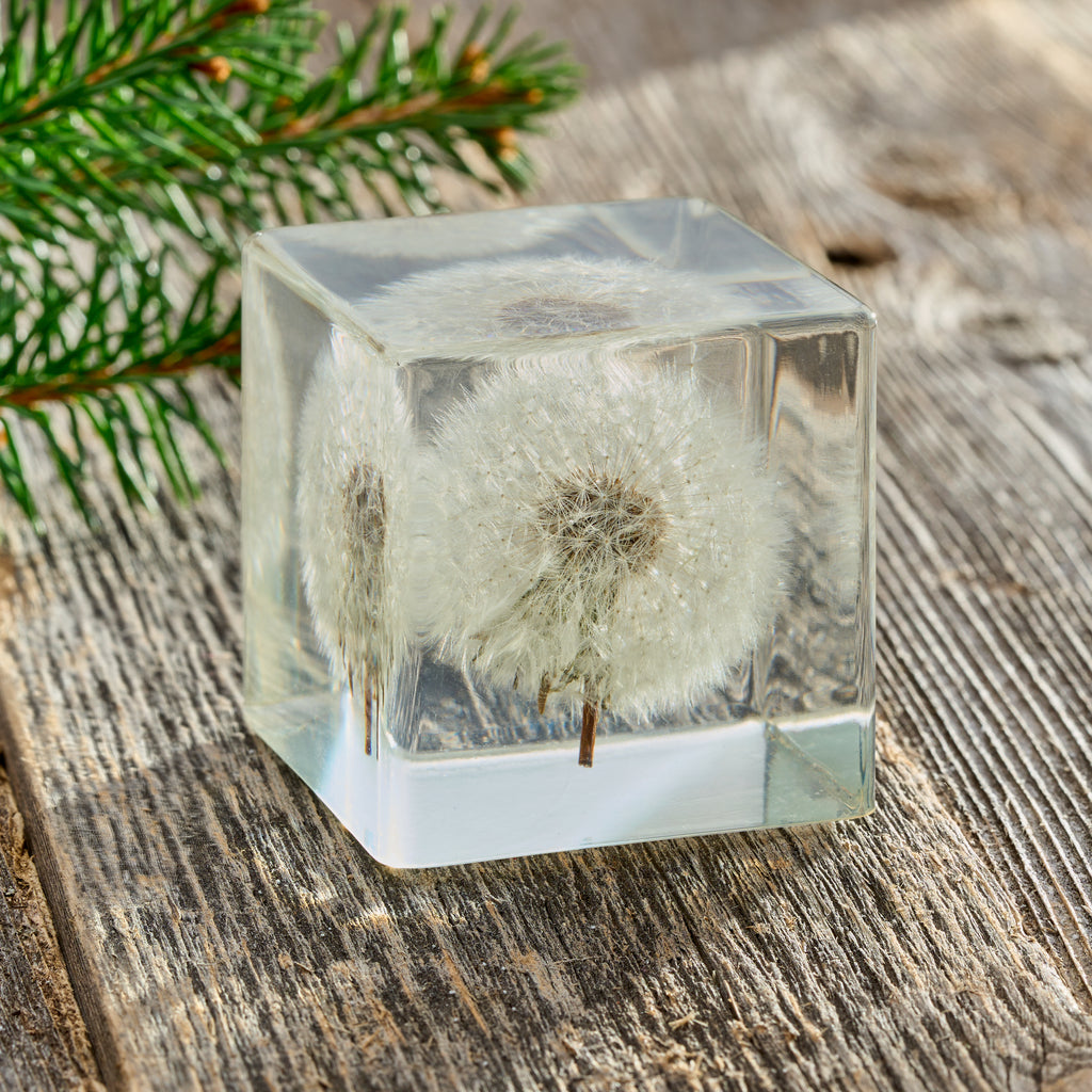 Dandelion Paperweight